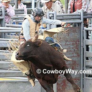 Meet your Posher, Jay