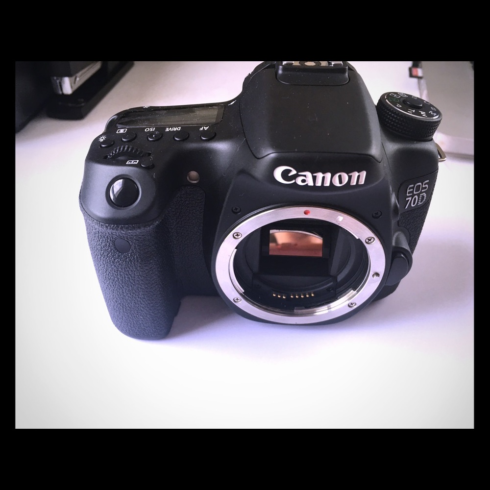 Canon 70 d with macro lens, normal lens, bags