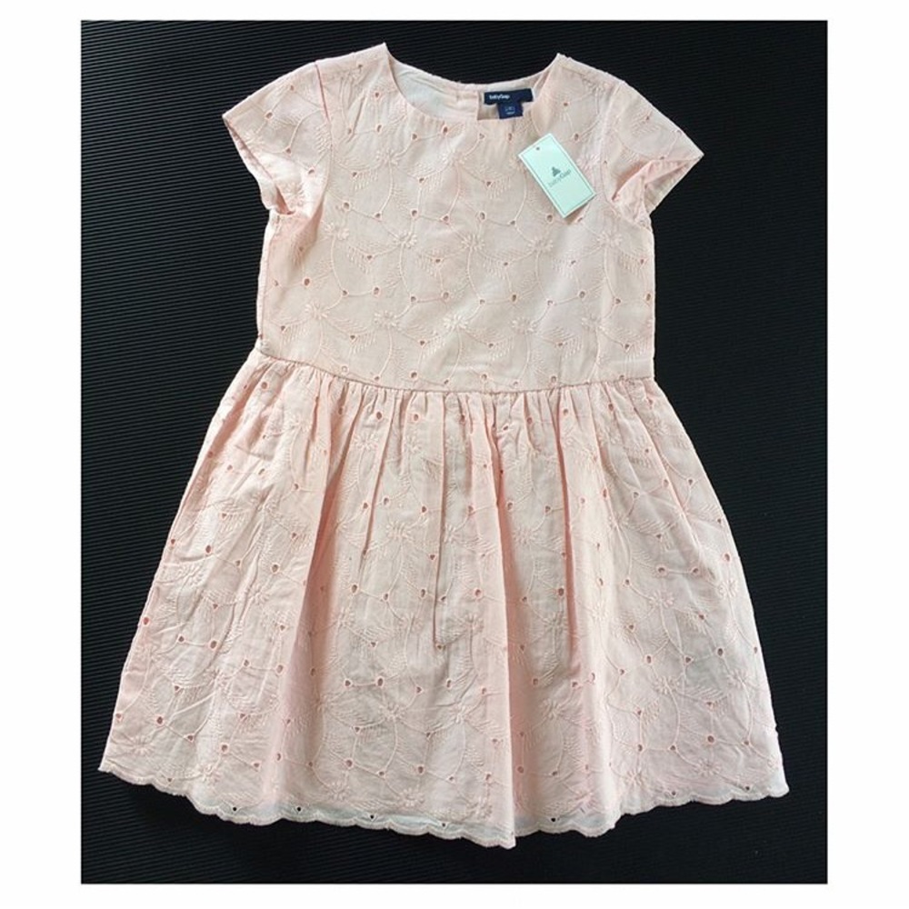 4T babyGap Baby Pink Eyelet Dress - Picture 1 of 3