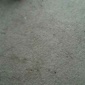 Meet your Posher, Jerald