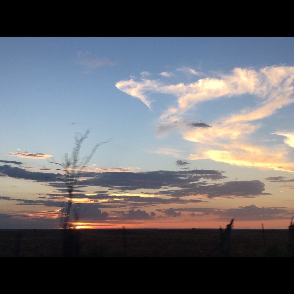 Meet your Posher, Priscilla