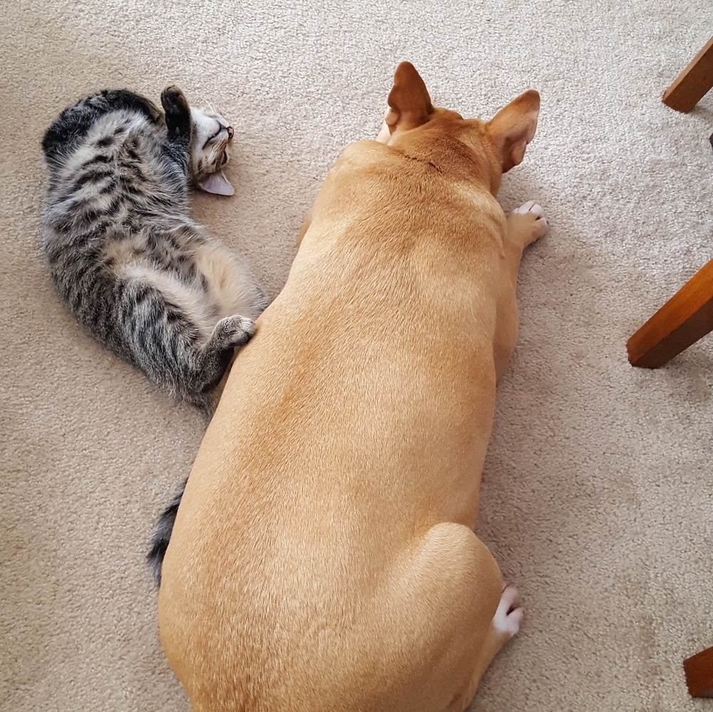 Meet your Posher, Tiffany