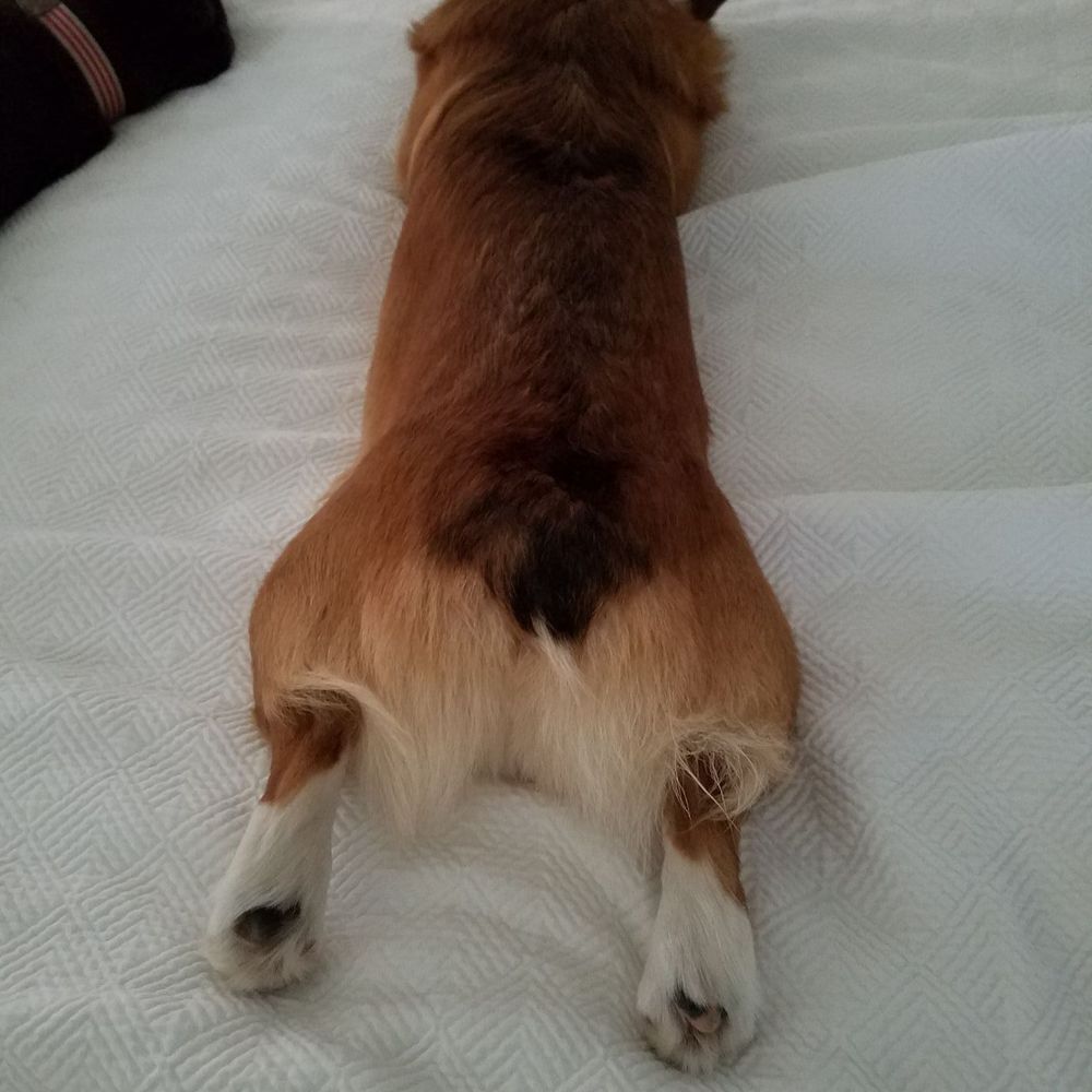 Meet your Posher, Jane