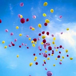 Meet your Posher, Michele