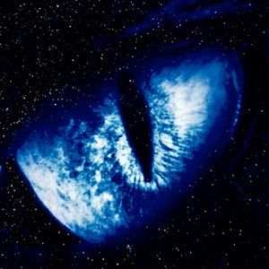 Meet your Posher, Shauna