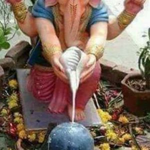 Meet your Posher, Kaushik