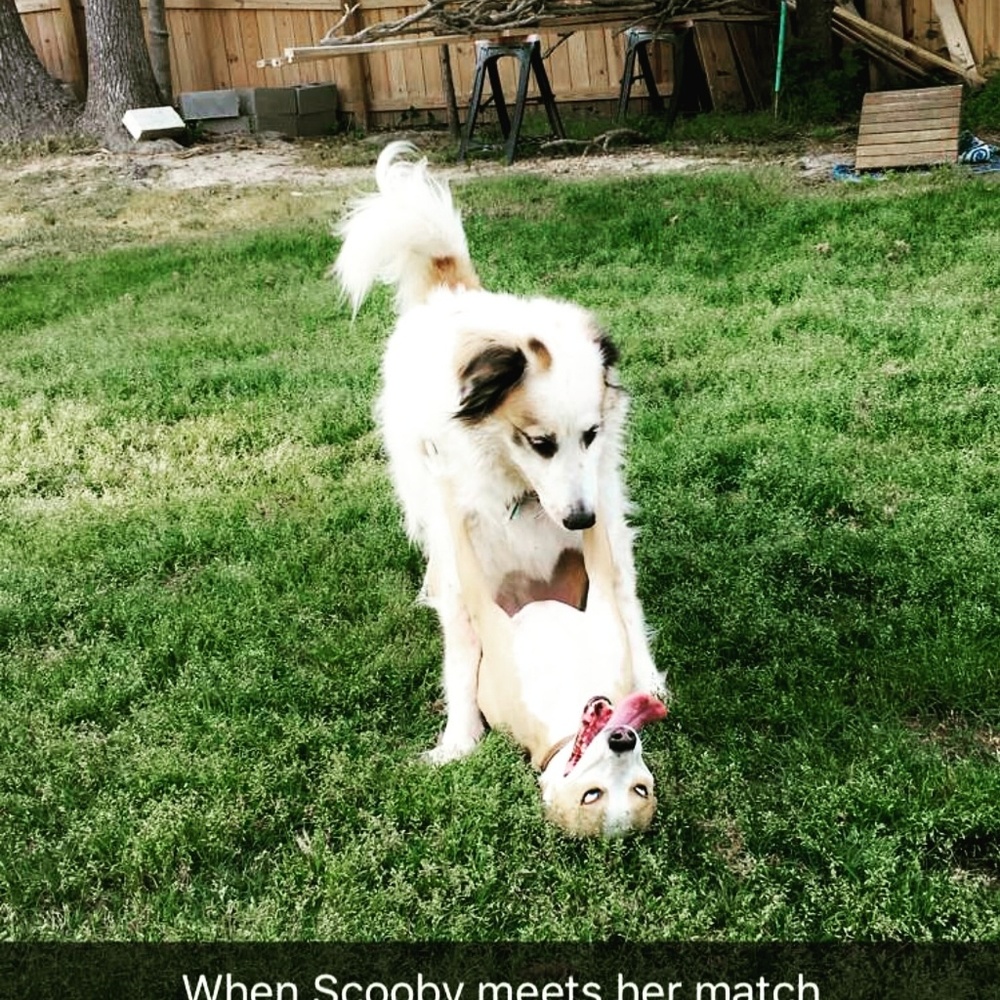 Meet your Posher, Lisa