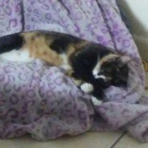 Meet your Posher, Stacy