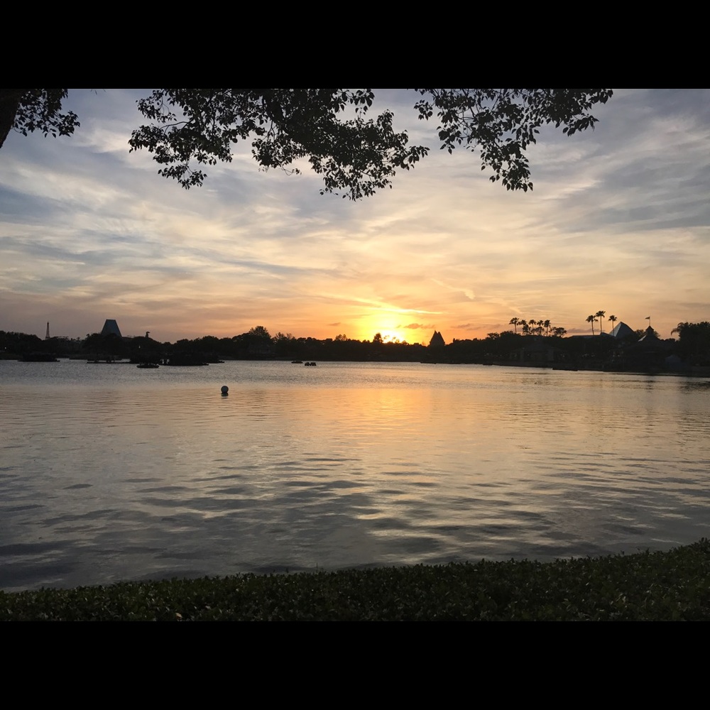 Meet your Posher, Olga