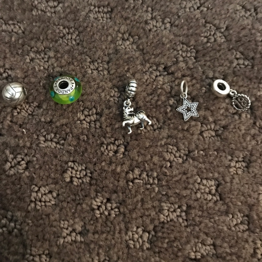 pandora charms