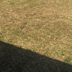 Meet your Posher, Damla