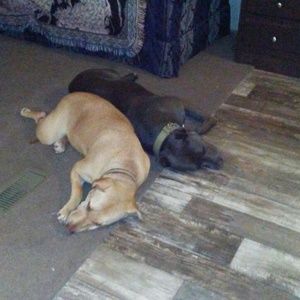 Meet your Posher, Renee