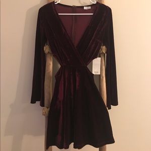 Burgundy Velvet Dress