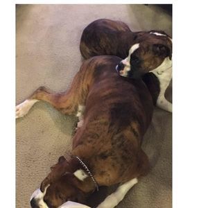 Meet your Posher, Dre