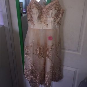 Beautiful not worn rose gold dress.