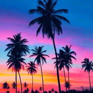 Meet your Posher, Dorian