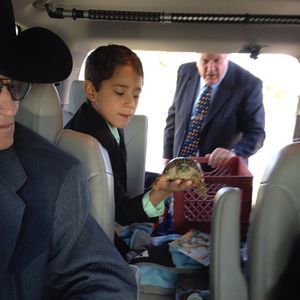 Meet your Posher, Ana