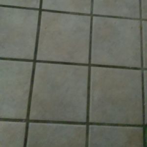 Meet your Posher, Lonnie