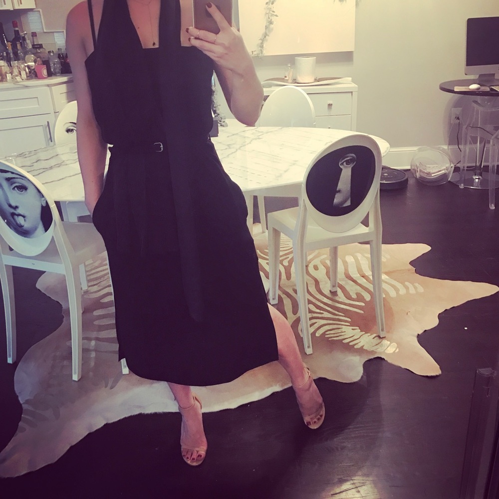 Alexander McQueen 2015 spring RTW dress