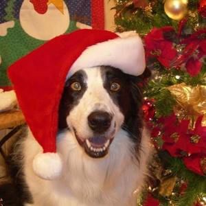 Meet your Posher, Phyllis