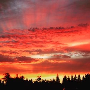 Meet your Posher, Tatum