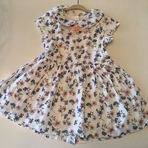 Pumpkin Patch girls dress