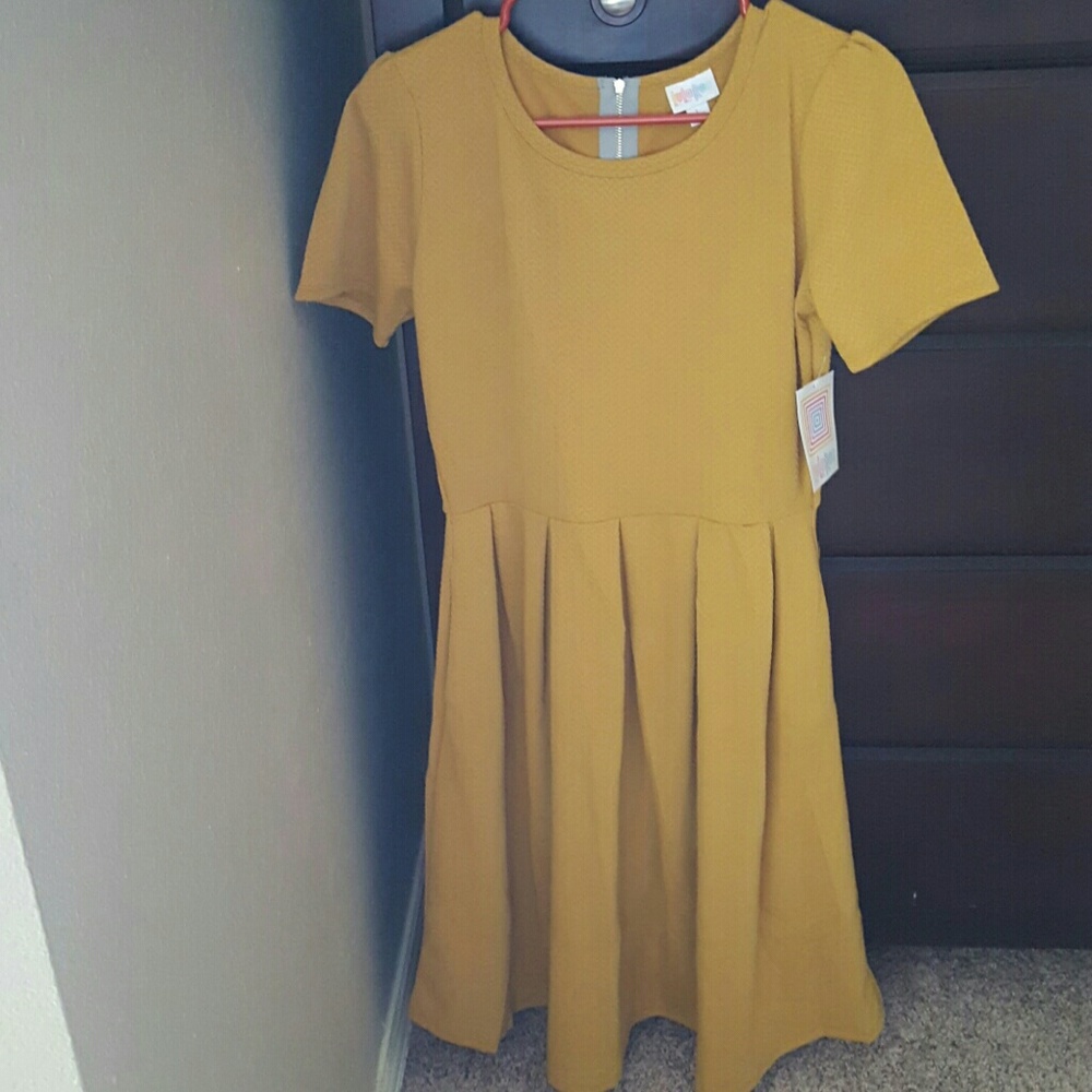 Lularoe amelia dress size L