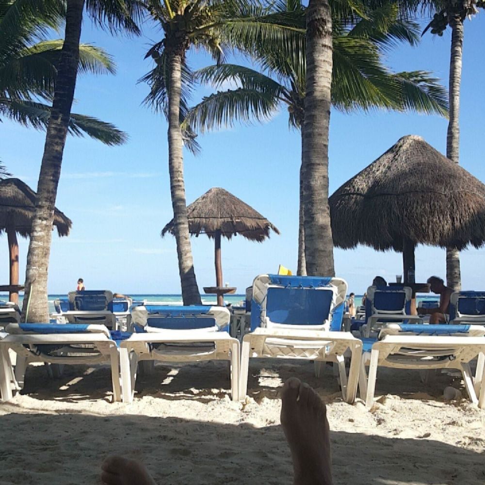 Meet your Posher, Steven