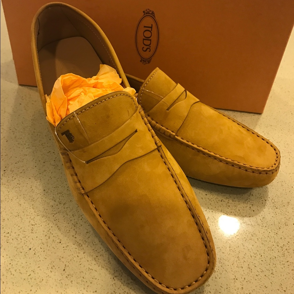 Brand New Men's Tods loafer.