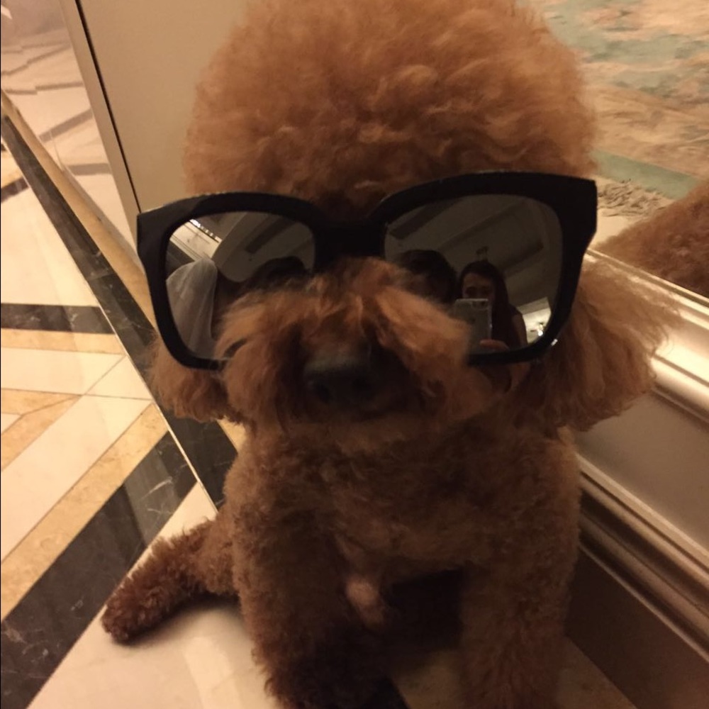 Meet your Posher, Xue