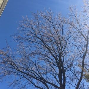 Meet your Posher, Armando