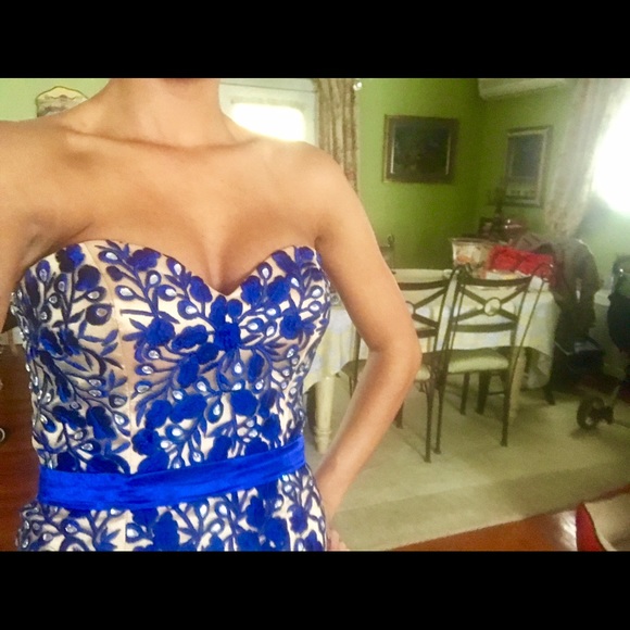 SHERRI HILL GOWN - Picture 1 of 4
