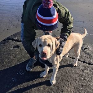 Meet your Posher, John