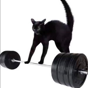 Meet your Posher, Hilal