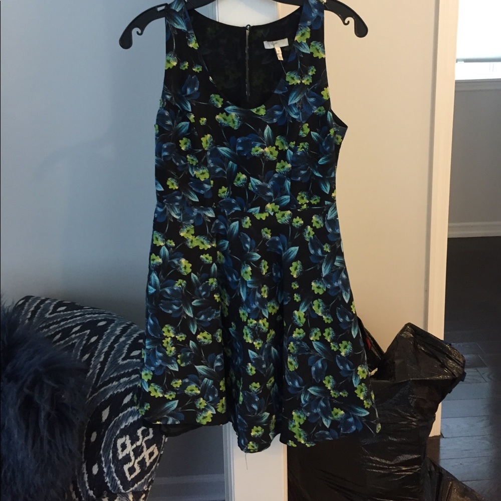 Joie floral swing dress