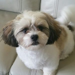 Meet your Posher, Candice