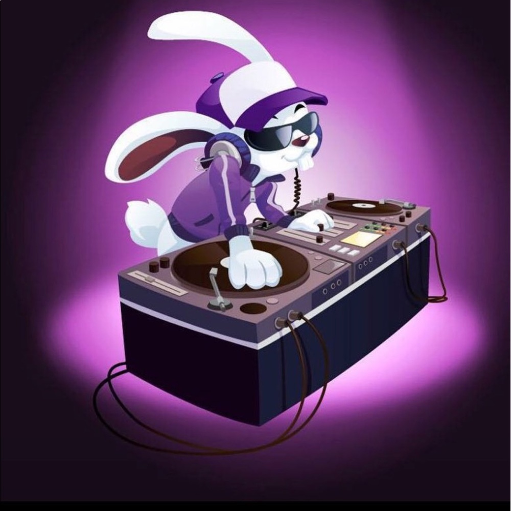 Meet your Posher, Anina