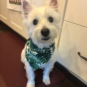 Meet your Posher, Brandi