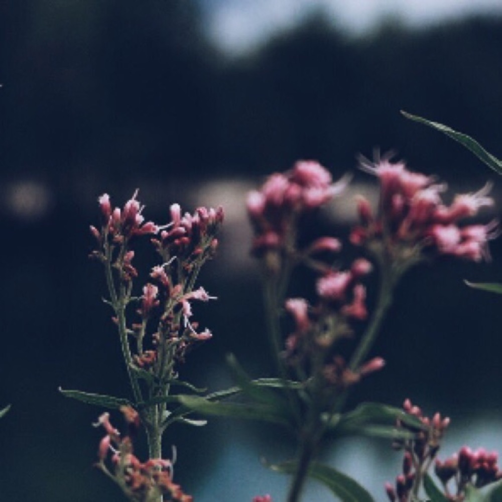 Meet your Posher, Kascy