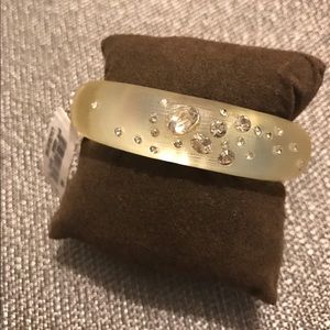 Alexis bittar lucite