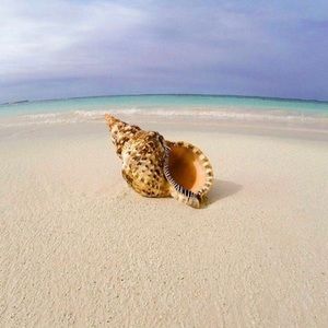 Meet your Posher, Tanja