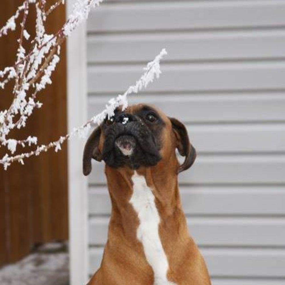 Meet your Posher, Lucy