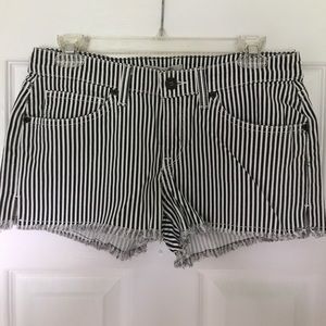 Rich & Skinny shorts
