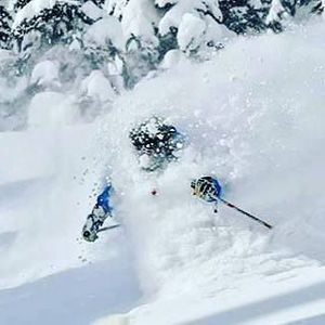 Meet your Posher, Jacques