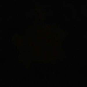 Meet your Posher, Betty