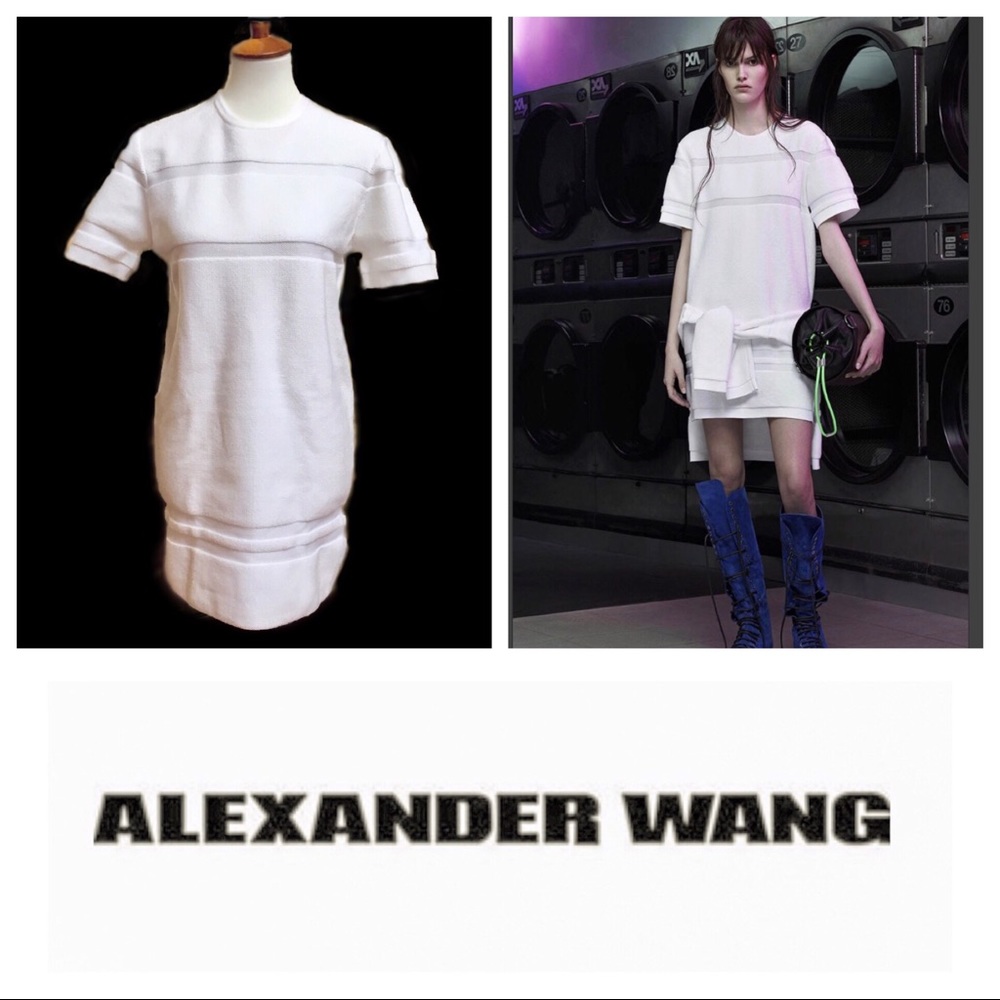 SALE🍁NWT! Alexander Wang Mini Dress
