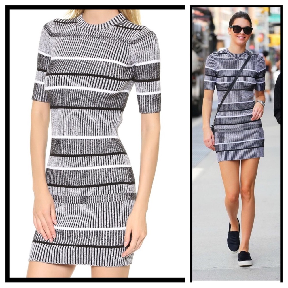 T by Alexander Wang Rib Knit Stripe Sweater Dress