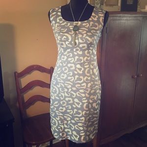 Ann Taylor Petite Dress