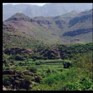 Meet your Posher, Edries