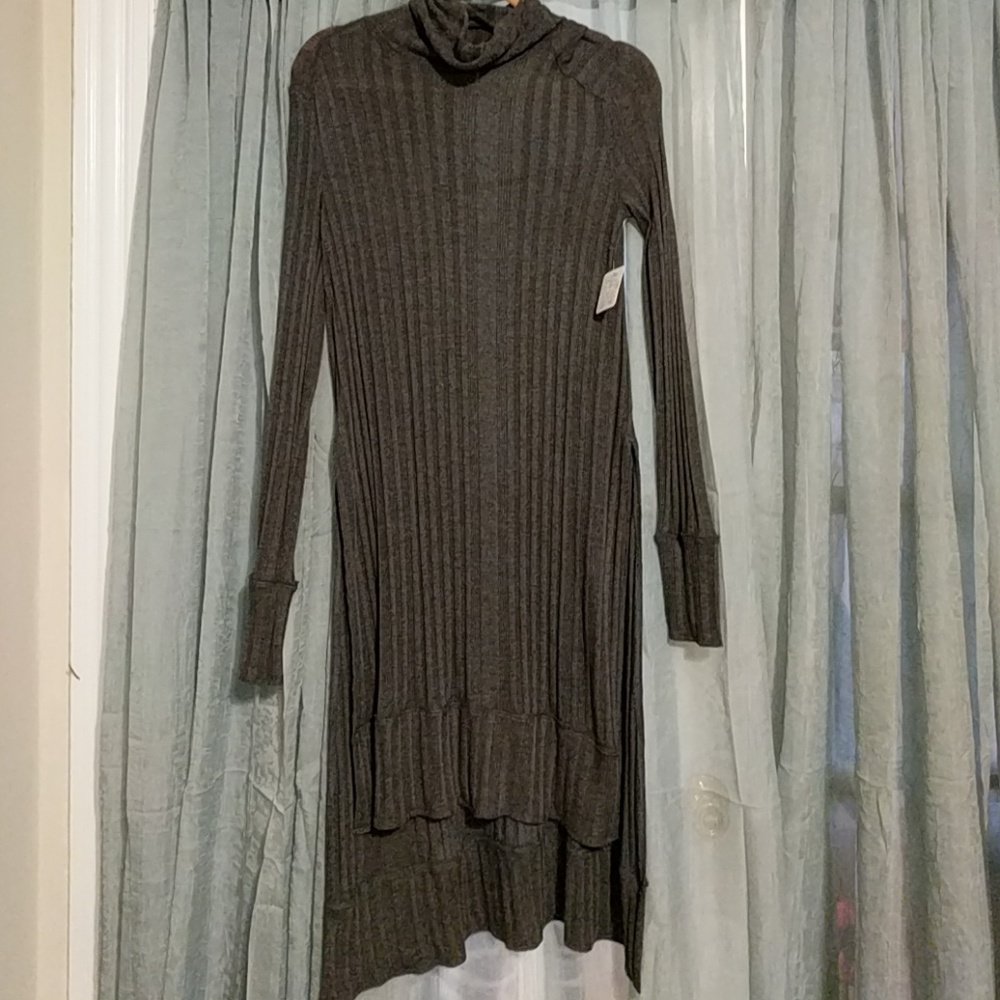 Free People Hi-Lo Sweater